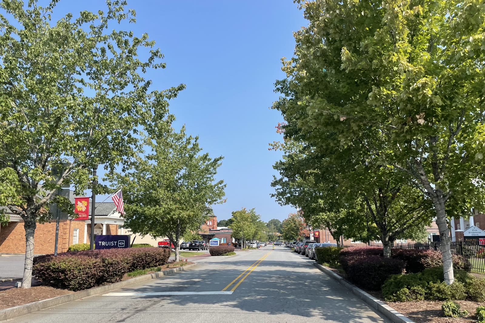 Tree-lined Main Street in Downtown Mount Holly